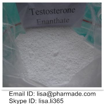 Testosterone Enanthate 315-37-7 Help With Lossing Fat